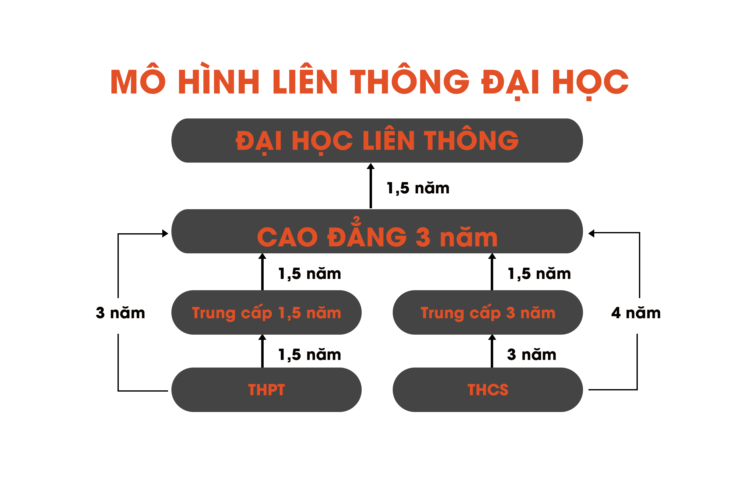 1/mo-hinh-lien-thong-dai-hoc_16062021021609582_hjiyms54.kl4.jpg